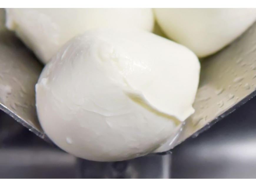 Mozzarella di Bufala Campana DOP Delizie di Latte 